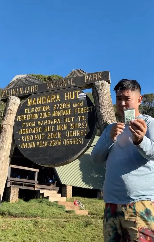 <strong>Follow us on Instagram</strong>